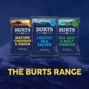 Burts Mature Cheddar And Spring Onion Crisps - 40g (Box of 20)